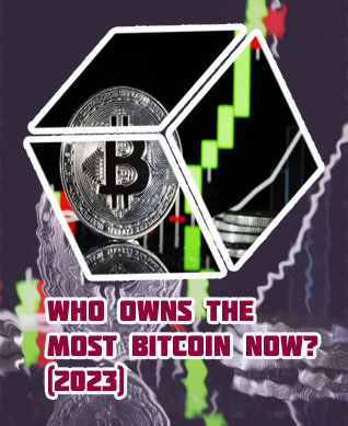 Biggest holders of bitcoin