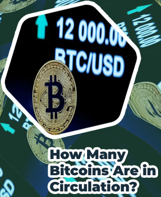 How much are bitcoins worth