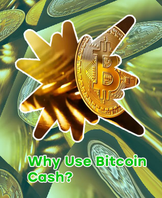 Today's bitcoin cash price