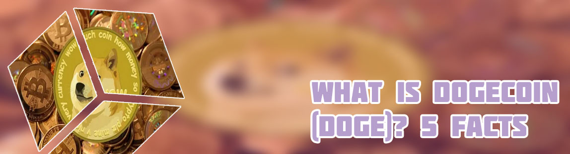 What are dogecoins